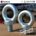 DIN580 Lifting Hardware Galv Carbon Iron Eye Bolt